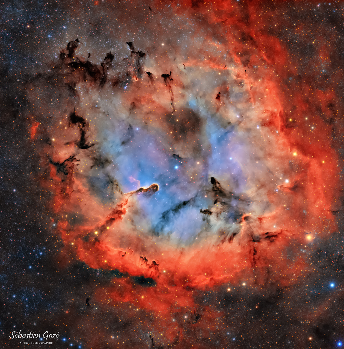 La nébuleuse de la trompe IC 1396 - HaOO Trompe_HaOO_finale_copyr_forum